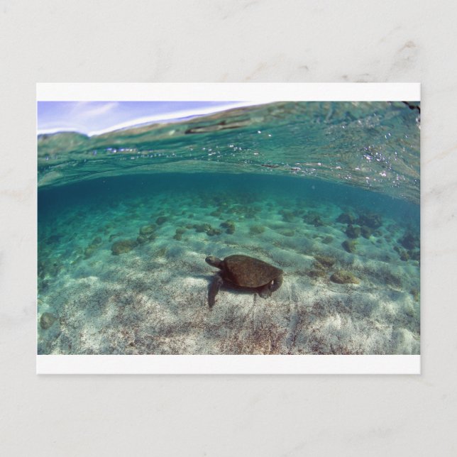 Postal Hermosa laguna litoral de las Islas Galápagos (Anverso)