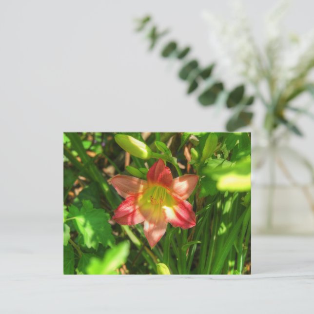 Postal Hermosa Lily (Anverso de pie)