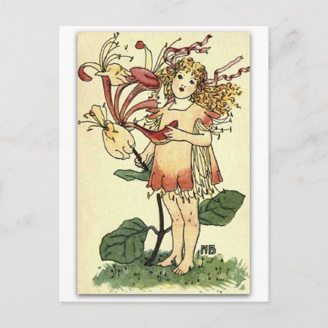 Postal Hermosa mamada de miel de NELLIE BENSON (Anverso)