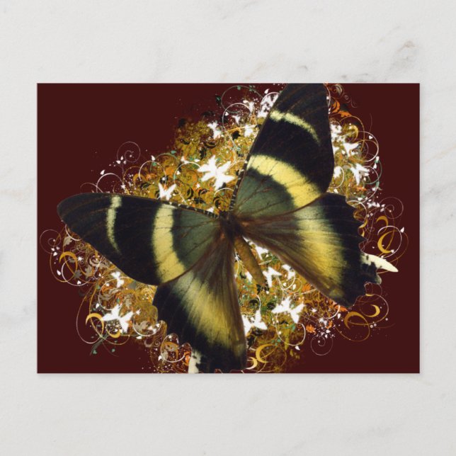 Postal Hermosa mariposa (Anverso)