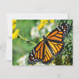Postal Hermosa mariposa monarca