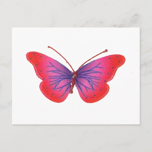 Postal Hermosa mariposa rosa y morado (Anverso)