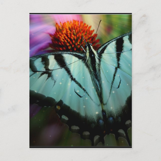 Postal Hermosa mariposa turquesa (Anverso)