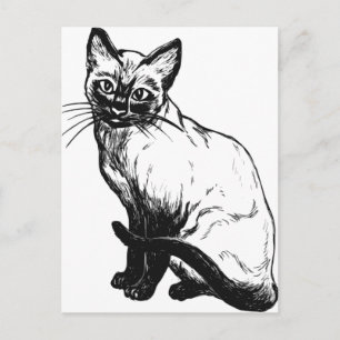 Postal Hermosa obra de arte en blanco y negro - gato siam