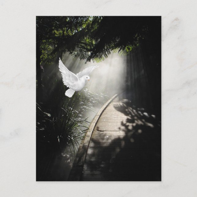 Postal Hermosa paloma voladora (Anverso)