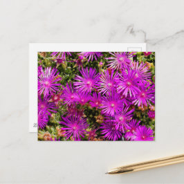 Postal Hermosa planta de hielo morado