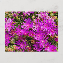 Postal Hermosa planta de hielo morado