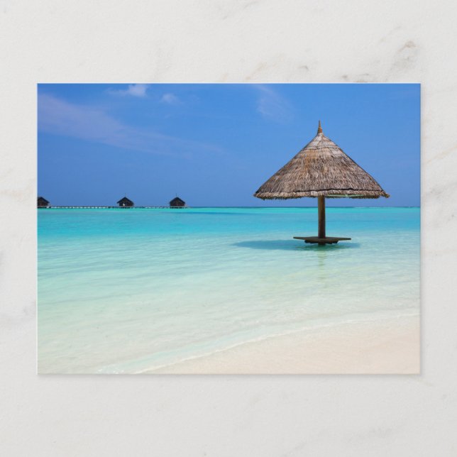 Postal Hermosa playa tropical en Maldivas (Anverso)