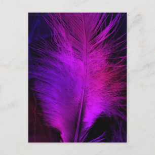 Postal hermosa pluma.jpg