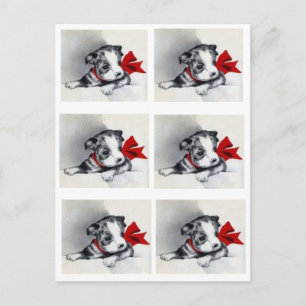 Postal Hermosa porquería de Boston Terrier