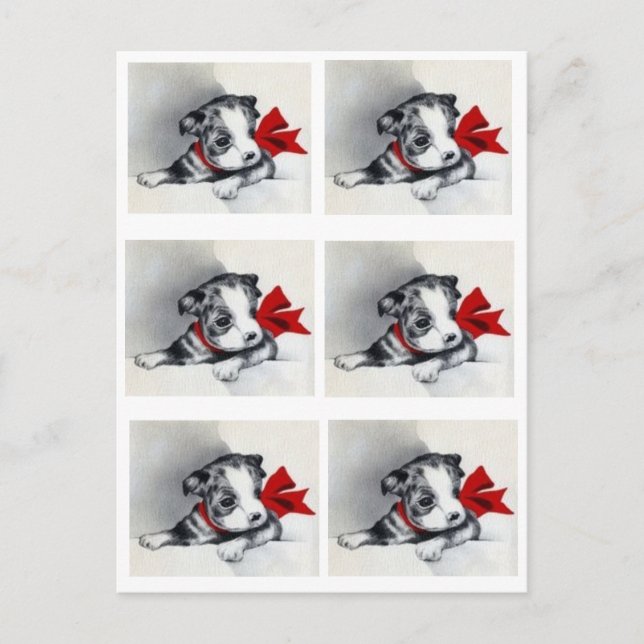 Postal Hermosa porquería de Boston Terrier (Anverso)