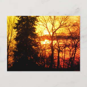 Postal Hermosa puesta de sol Canadá árboles naranja dorad
