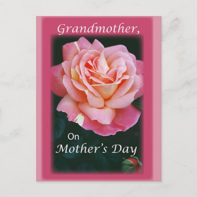 Postal Hermosa Rosa (Anverso)