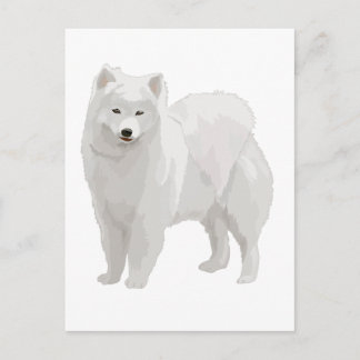 Postal Hermosa Samoyed