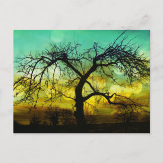 Postal Hermosa silueta de árbol en Sunset Ombre Aqua