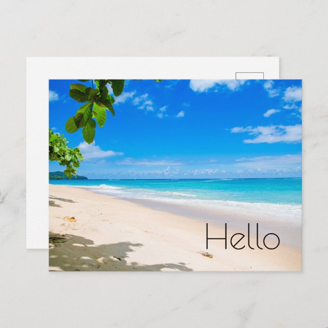 Postal Hermosa Sunny Tropical Beach Photo Hello (Anverso / Reverso)