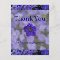 Hermosa Violeta Azul Petunias Gracias