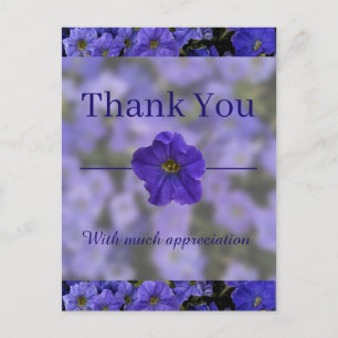 Postal Hermosa Violeta Azul Petunias Gracias