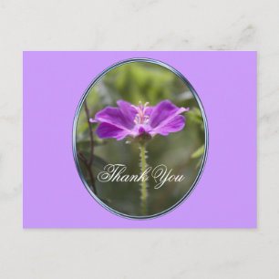 Postal Hermosa y elegante flor de jardín morada gracias