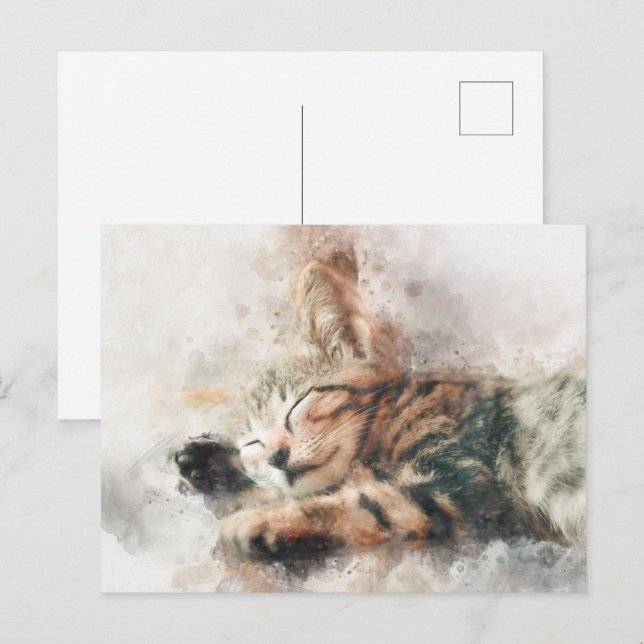 Postal Hermosa y linda gatita durmiendo color (Anverso / Reverso)