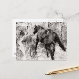 Postal Hermosa yegua Paint Horse y potro