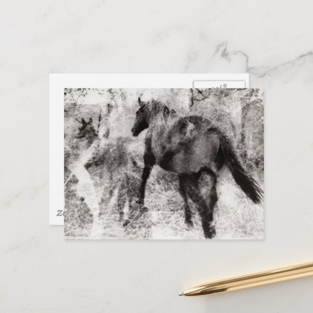 Postal Hermosa yegua Paint Horse y potro (Anverso/Reverso In Situ)