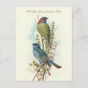 Postal Hermosas aves de época añaden tu propio saludo