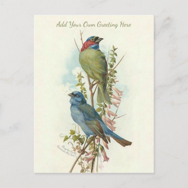 Postal Hermosas aves de época añaden tu propio saludo (Anverso)