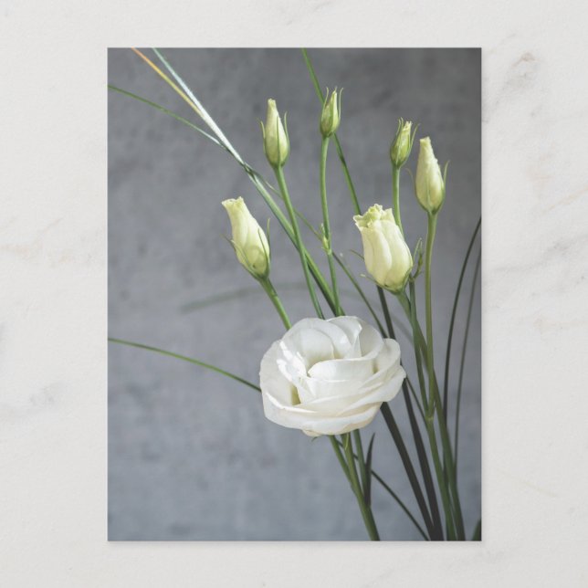 Postal Hermosas flores blancas de Lisianthus (Anverso)