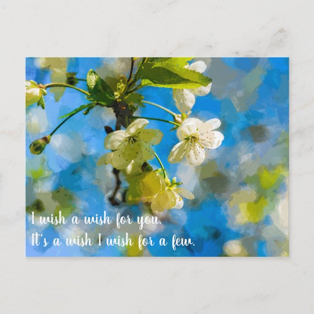 Postal Hermosas flores de cerezo (Anverso)