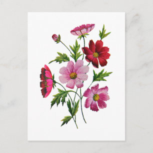 Postal Hermosas flores de cosmos en bordado de trigo