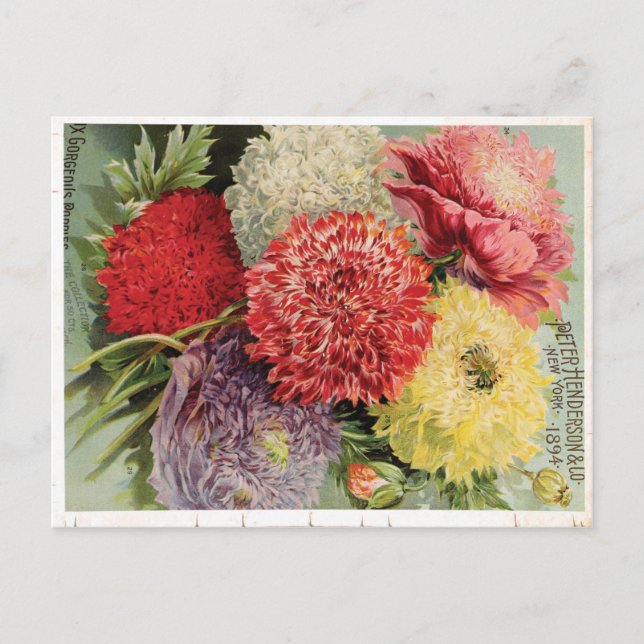 Postal Hermosas flores de época (1894) (Anverso)