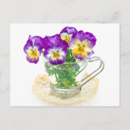 Postal hermosas flores de pino aisladas en una taza