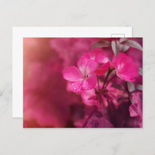 Postal Hermosas flores de primavera