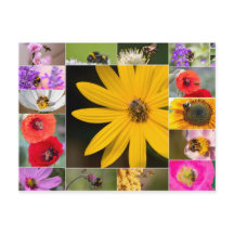 ¡Hermosas flores para la primavera y el verano!