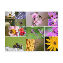 ¡Hermosas flores para la primavera y el verano!