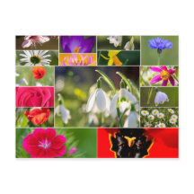 Hermosas flores para sentimientos de primavera y v