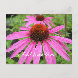 Postal hermosas flores púrpuras rosas