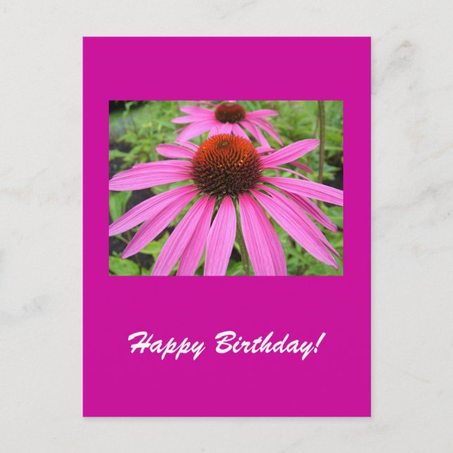 Postal hermosas flores púrpuras rosas (Anverso)