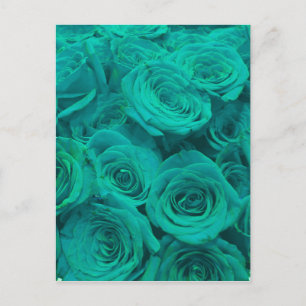 Postal Hermosas flores verde azuladas de rosas verdes ver