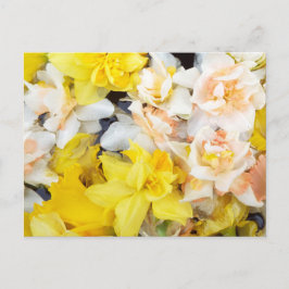 Postal Hermosas fotos de adoquines flotando en el agua