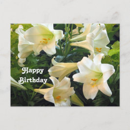 Postal Hermosas Lirios Blancos de Pascua Foto Floral Cump