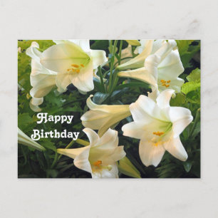 Postal Hermosas Lirios Blancos de Pascua Foto Floral Cump