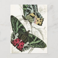 Hermosas mariposas de jardín rosa verde vintage