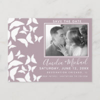 Hermosas mariposas White Rubor Photo