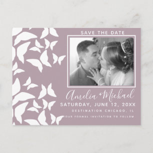 Postal Hermosas mariposas White Rubor Photo