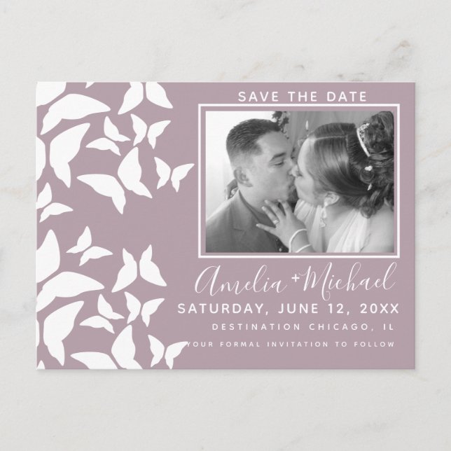 Postal Hermosas mariposas White Rubor Photo (Anverso)