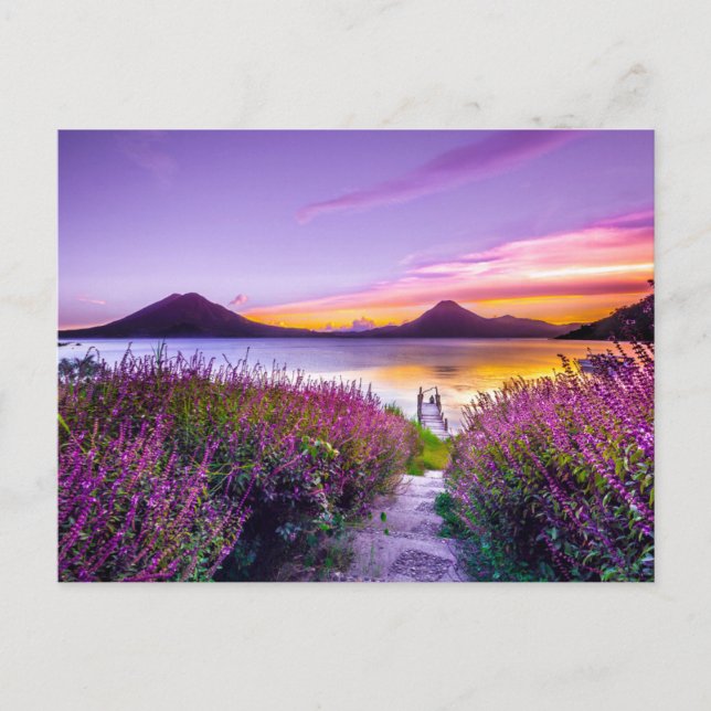 Postal Hermosas montañas con vistas al campo de lavanda (Anverso)