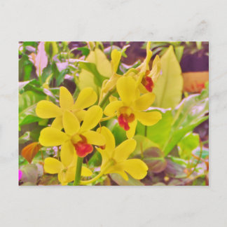 Postal Hermosas orquídeas amarillas de otoño