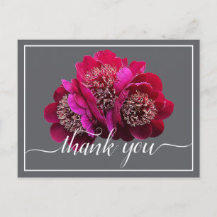 Postal Hermosas peonías carmesí Color Fondo Agradecimient